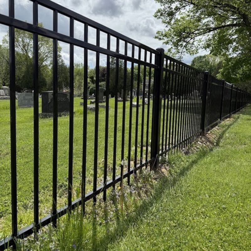 Iron Fence near Saginaw
